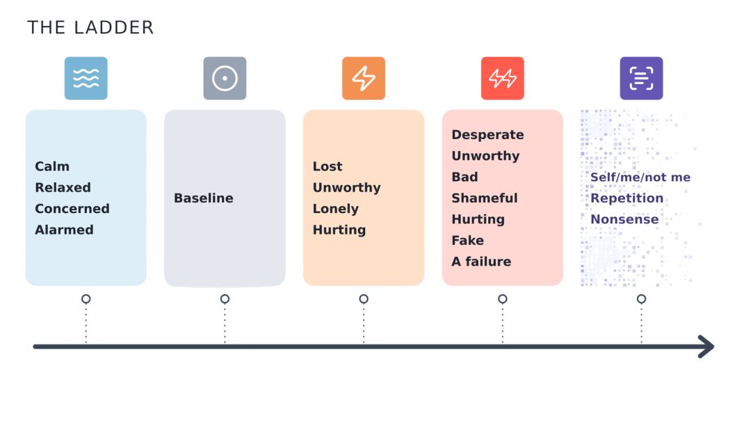 Cross-model collapse ladder